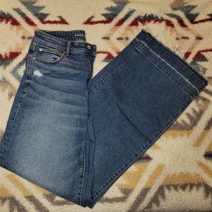American Eagle Wide Leg Jeans